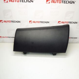 Skiproom Citroën C-Crosser Peugeot 4007 8042A061 825231